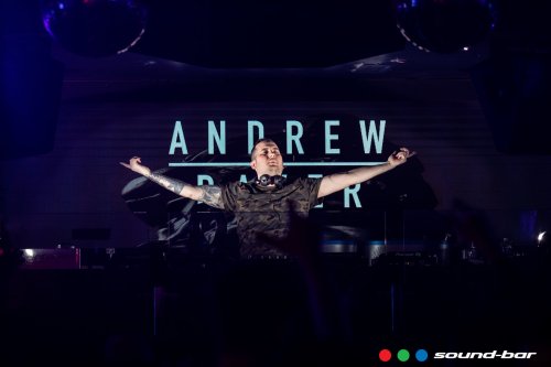 ANDREW BAYER
